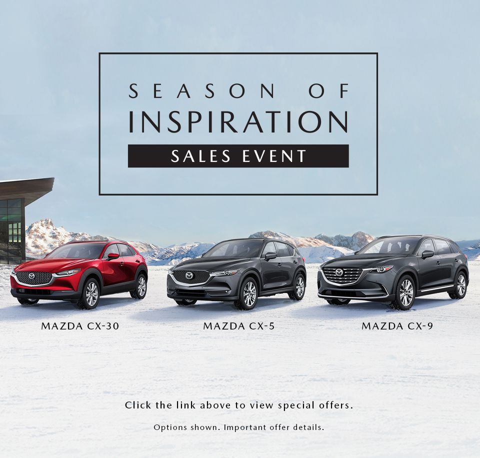 Winter Sales Event - Carousel image 2 